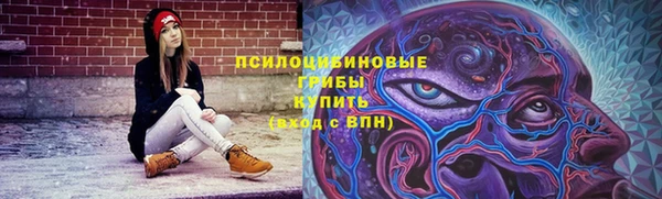 стаф Балахна